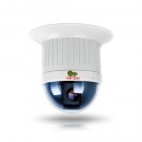 IPS-220X IN